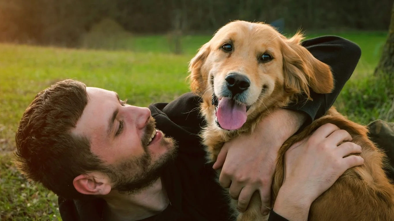 Pets felizes com plano WN Vet