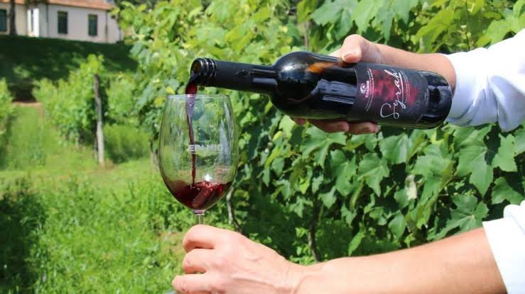 Vinhos Campos de Cima da Serra pedem Denominação de Origem no INPI