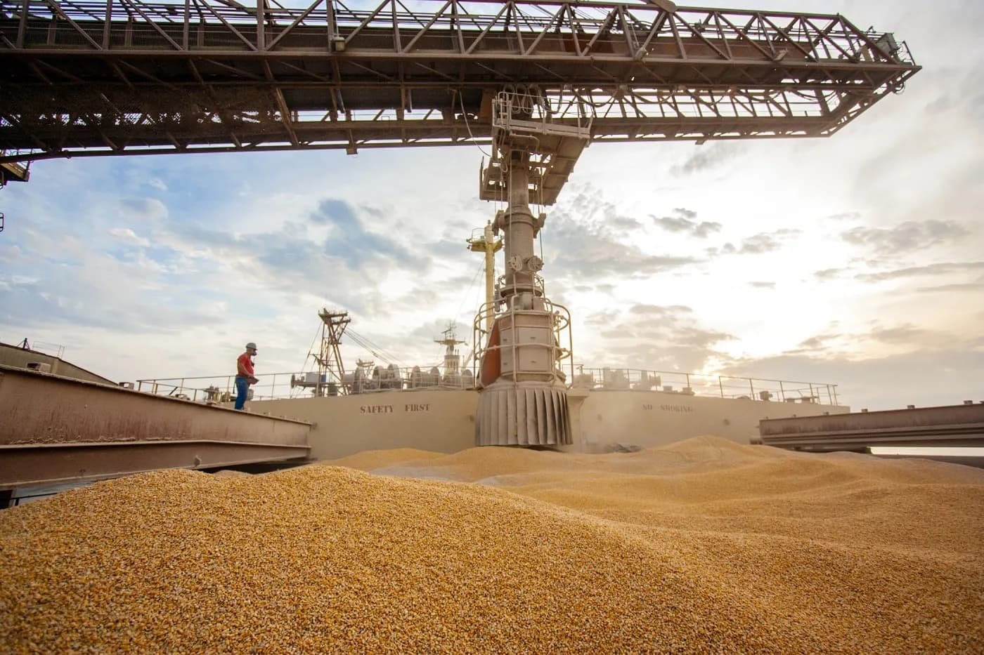 Milho brasileiro sofre pressão de preços e exportações serão decisivas para safra 25/26