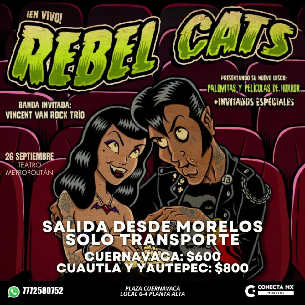 Transporte a REBEL CATS desde Morelos