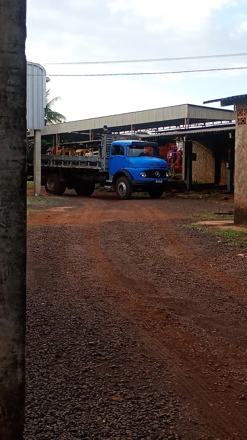 Fretes e mudança pé de anta  — Frete em Terenos, MS