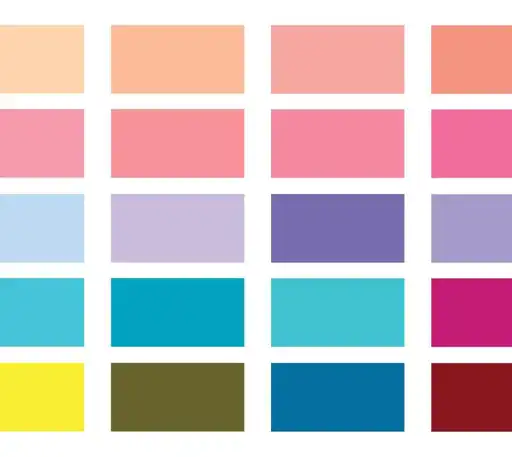 Ícone do Guia de Cores