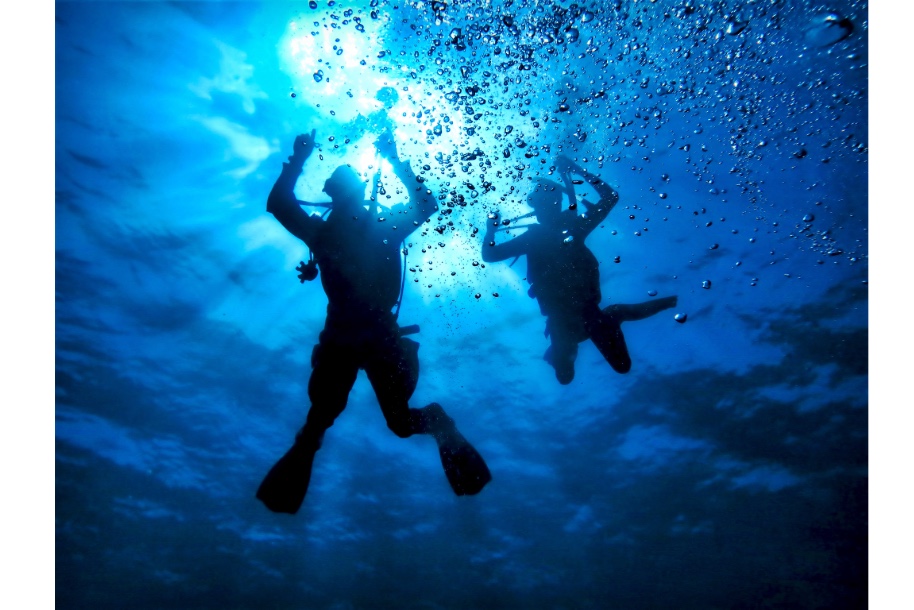 Dive Into Doha: The Ultimate Beginner’s Guide to Scuba Adventures in Qatar