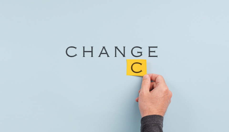 The Accountability Economy: Why Governance, Leadership, and Human Expertise Define Future-Proof Careers