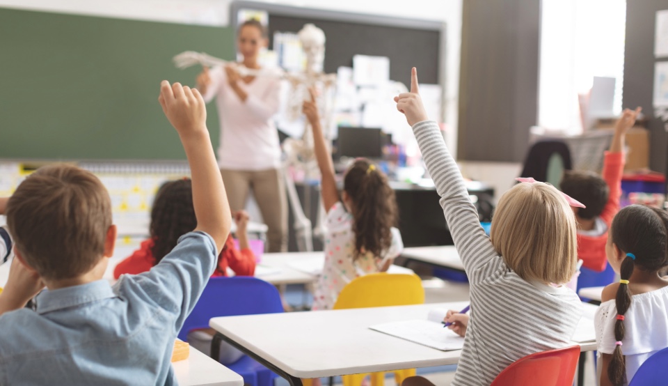The Complete Guide to Teacher CPD Courses for International Schools