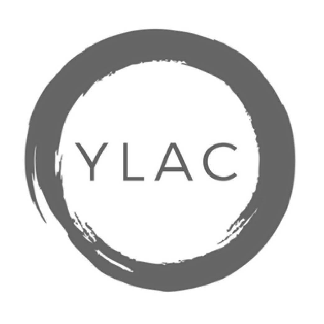 Young Leaders Advisory Council