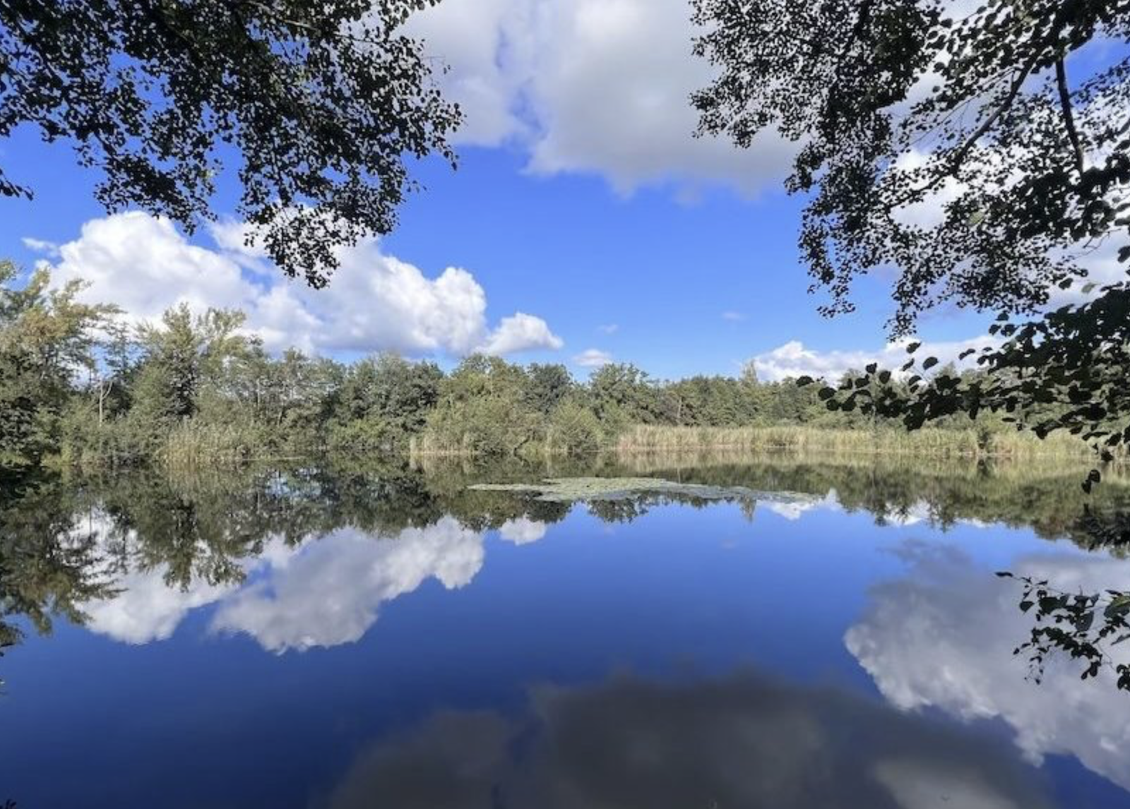 Der See zum Schwimmen, nur 5 Minuten zu Fuß