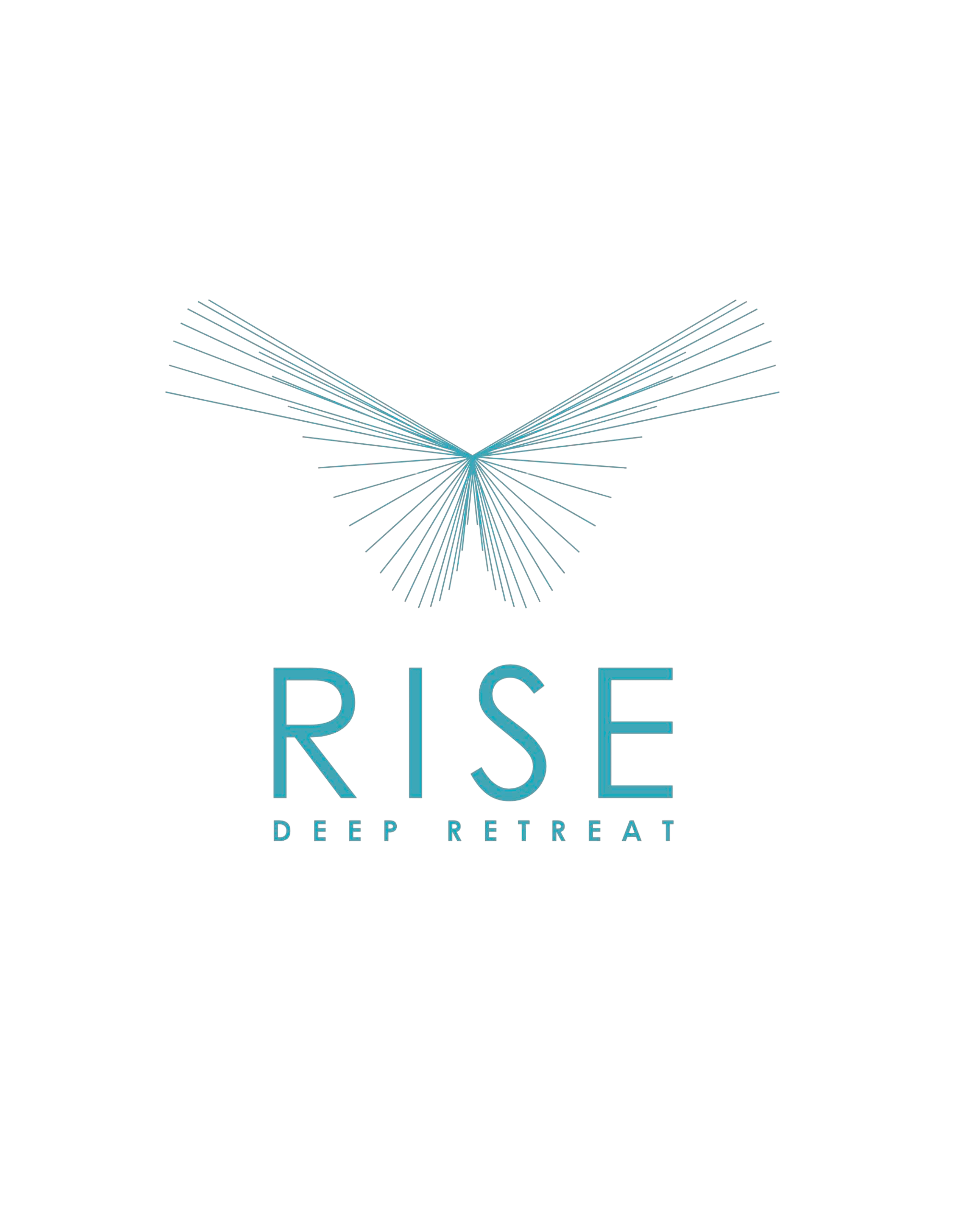 Das Rise Logo, welches Du immer wieder finden wirst.