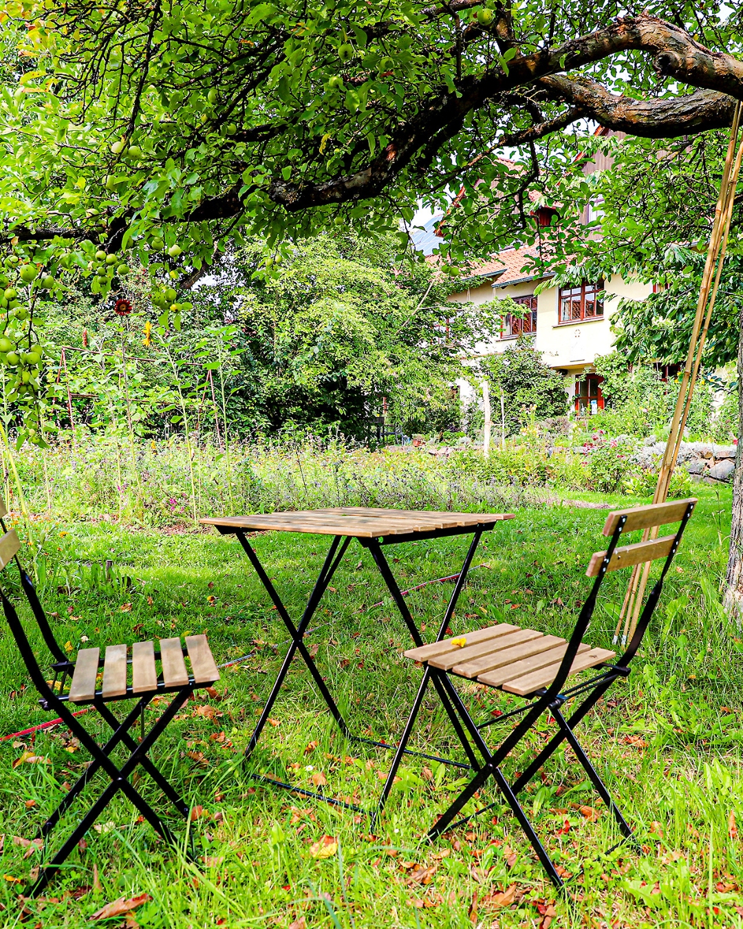 Garten des Alten Forsthauses Germerode mit Sitzmöglichkeiten für Pausen und Rückzug