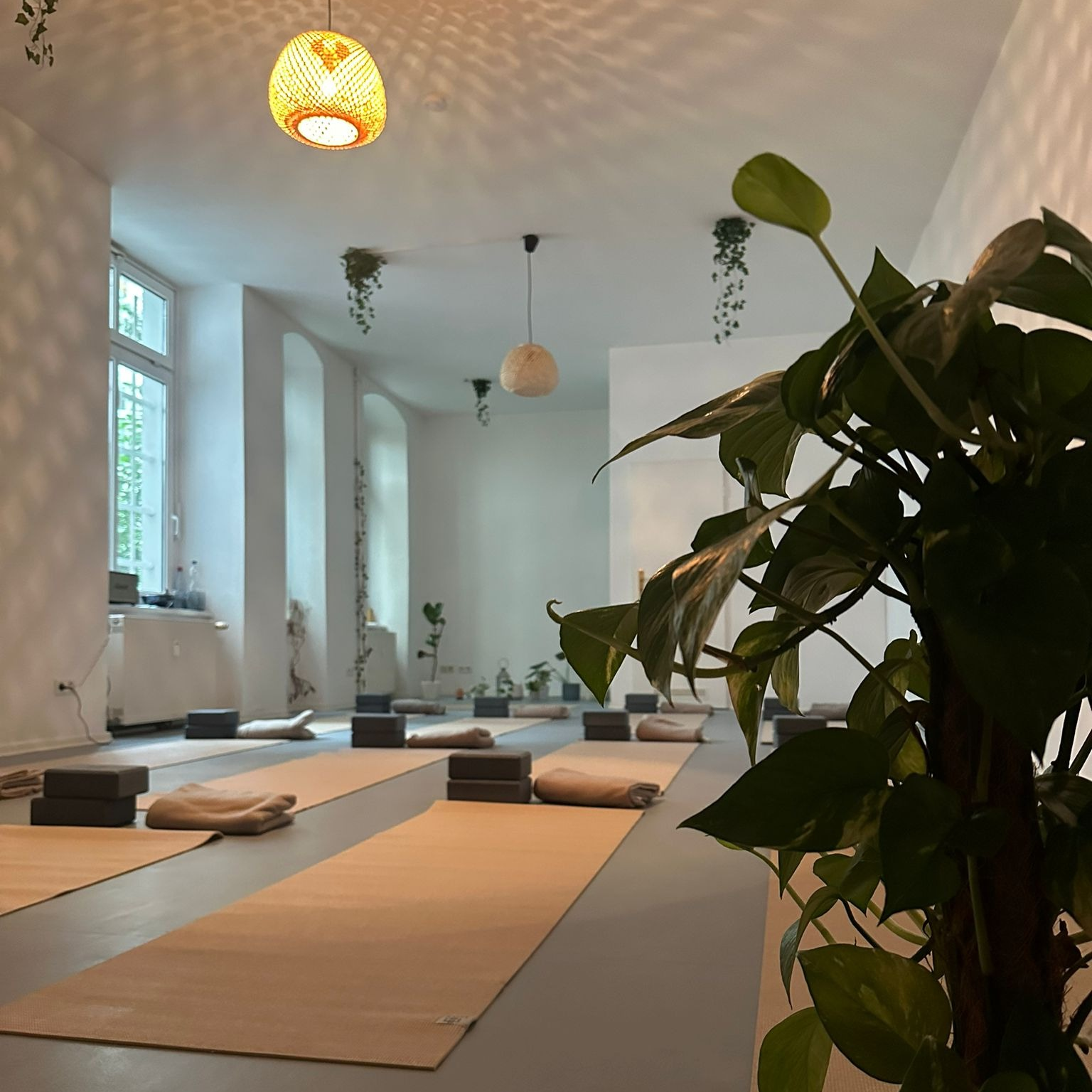 Hormone Flow & Balance - Yoga in der (Peri-)Menopause (DE), photo 1