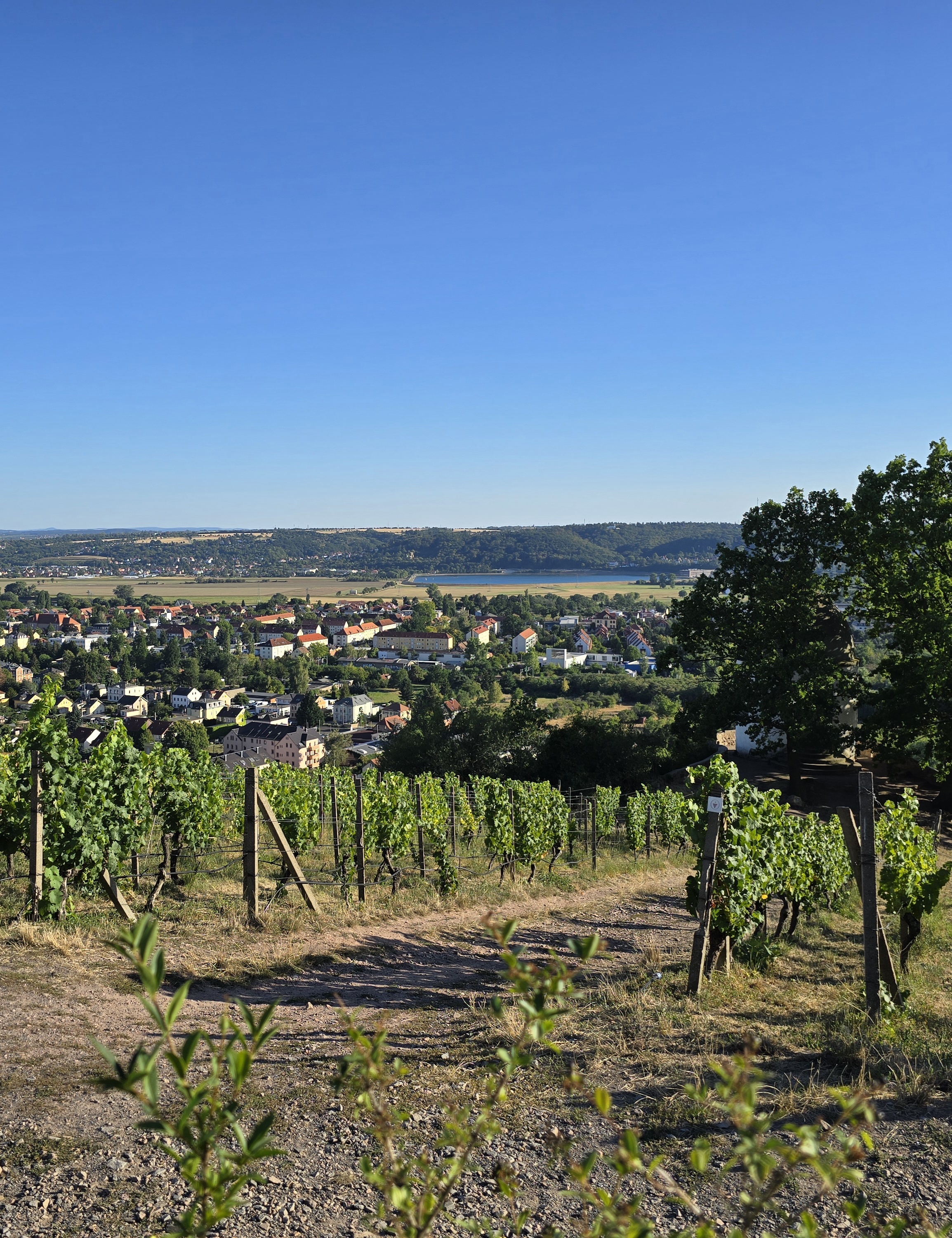 Blick über Radebeul- Ausblick in die Ferne 