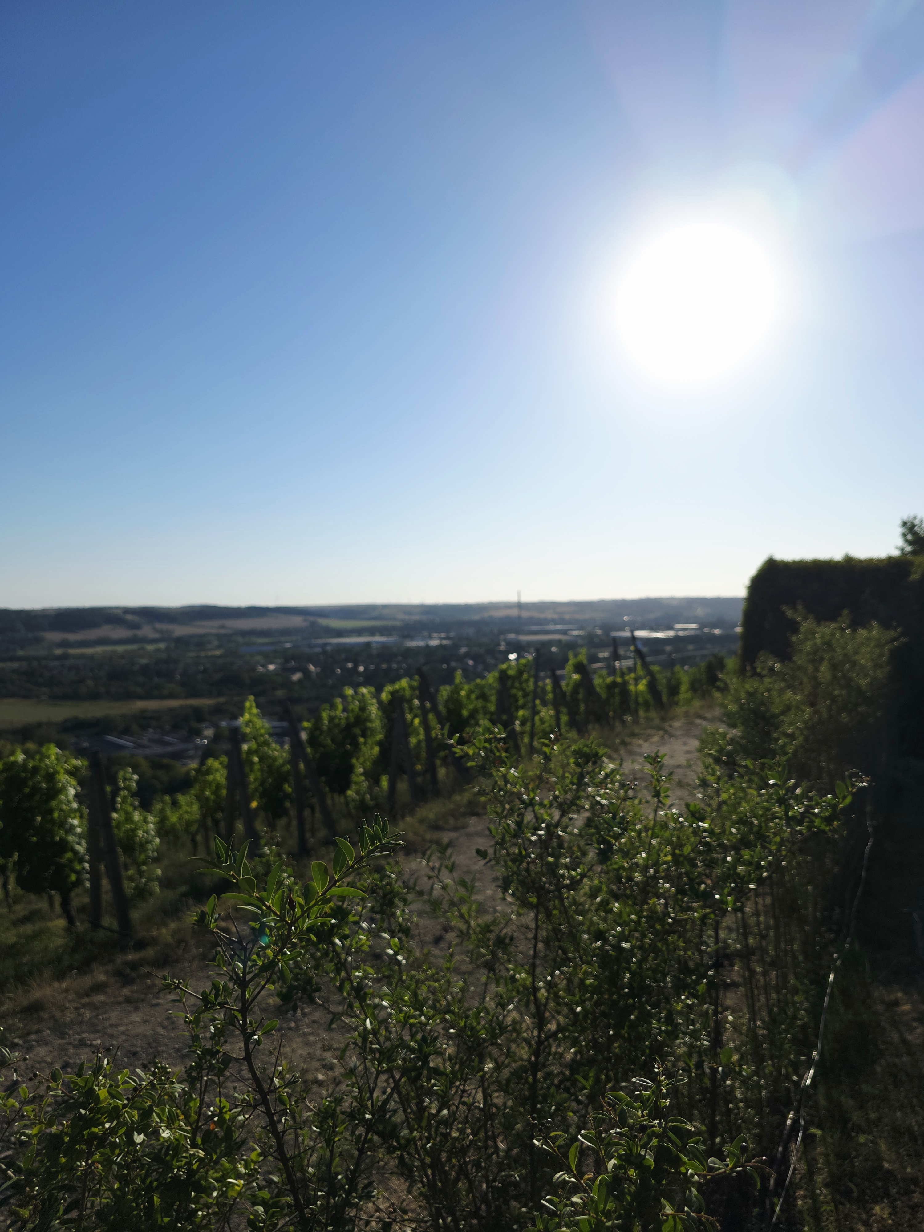 Blick zum Sonnenuntergang beim Yoga