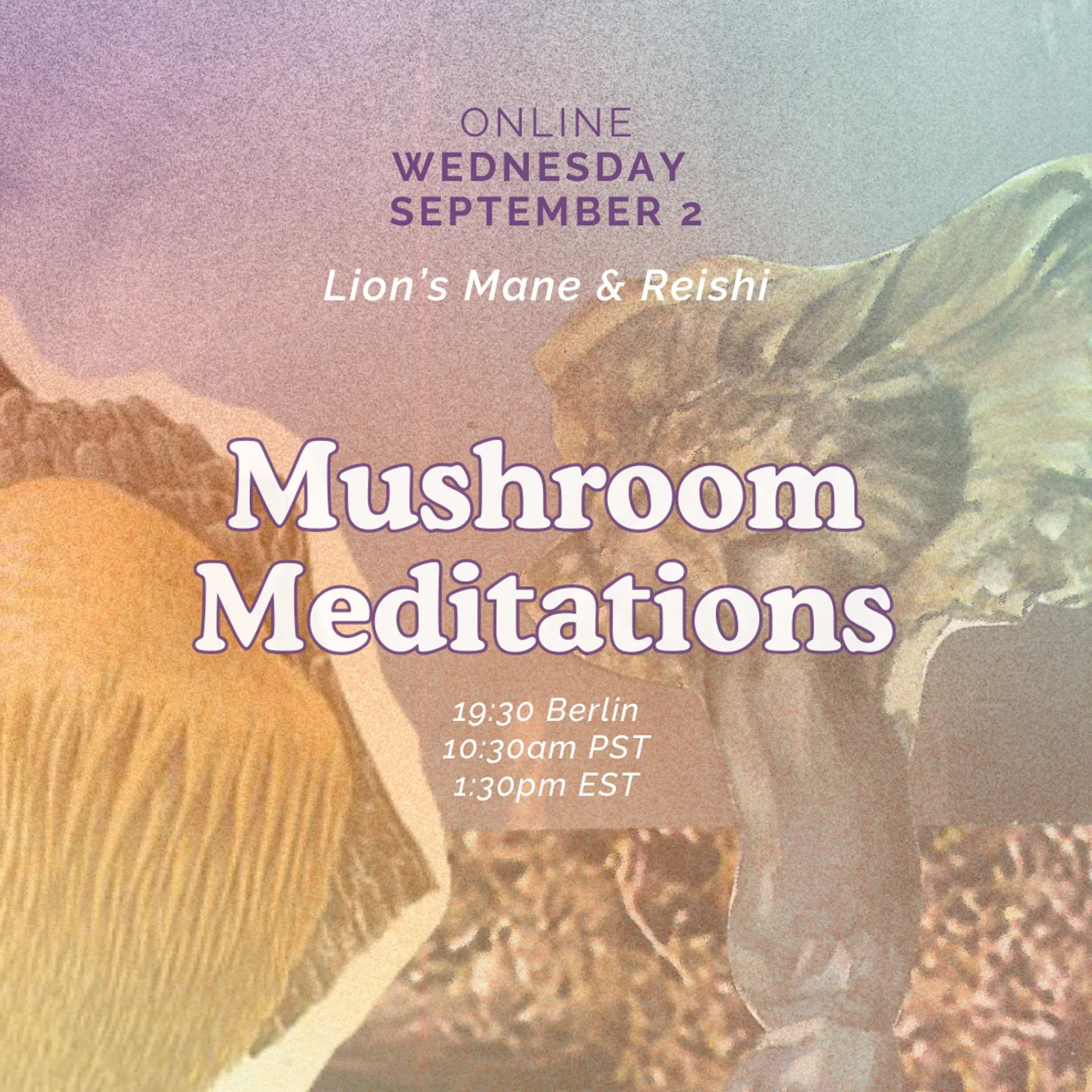 Mushroom Meditations: A guided journey for Earth connection, imagination and insight [Reishi and Lion's Mane]