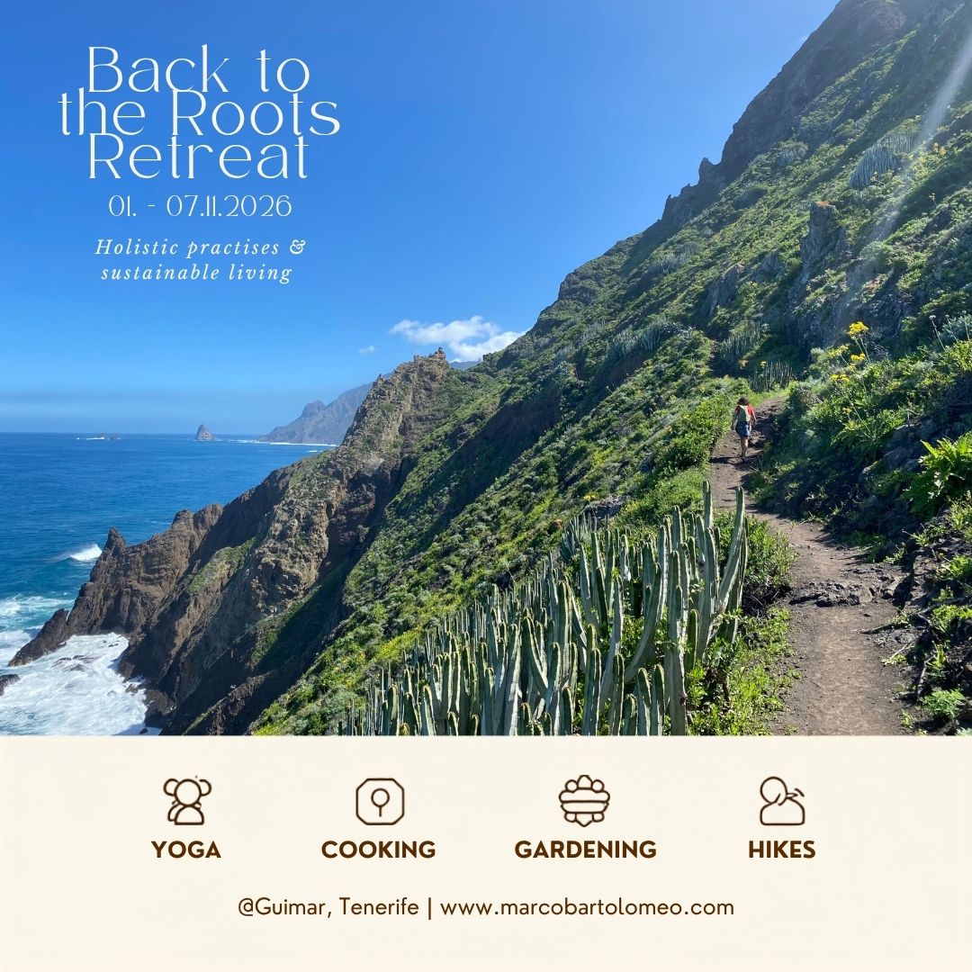 Back to the Roots Retreat — 7-Day Holistic Retreat in Tenerife | Yoga & Sustainable Living