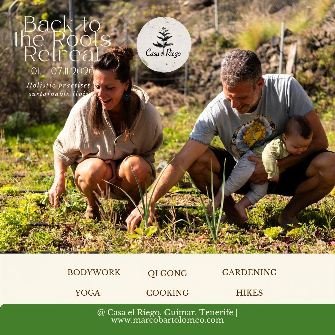 Back to the Roots Retreat — 7-Day Holistic Retreat in Tenerife | Yoga & Sustainable Living, foto 1