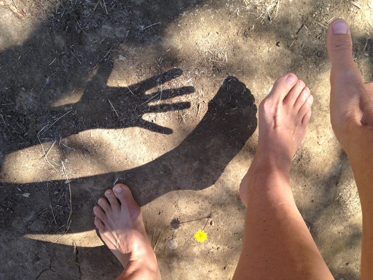 5-day Biodanza Retreat | Biodanza & Urlaub auf der griechischen Insel Lesbos - Dancing the Myths | 3.-7. Oktober