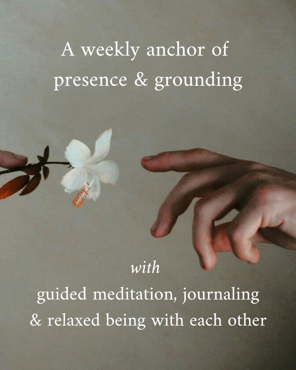 Event image for Meditations for Connection in Chaotic Times