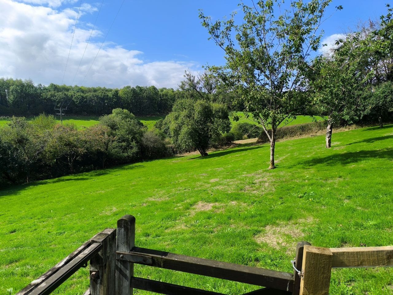Green fields and trees in the Devon countryside beside a wooden gate
