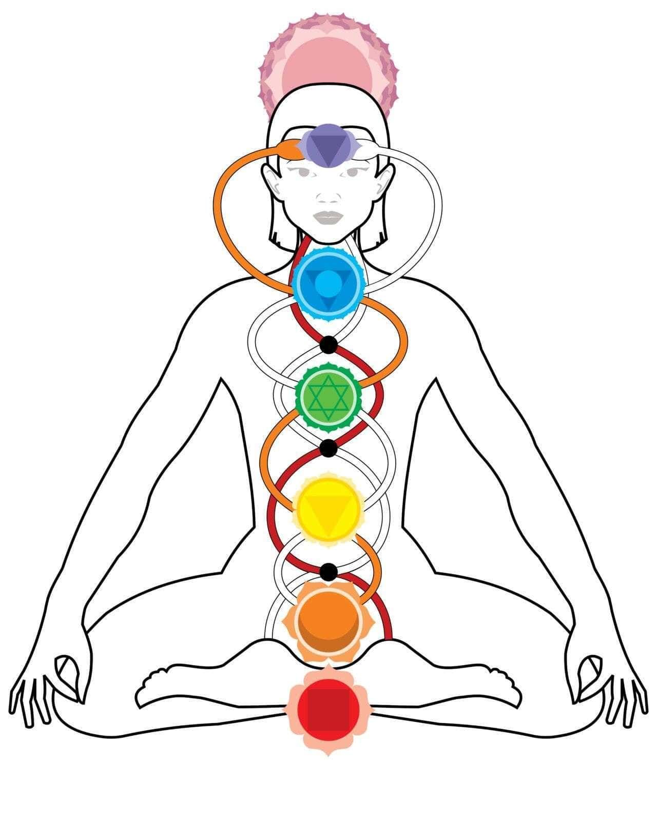An illustration of a person meditating with chakras represented along the spine.