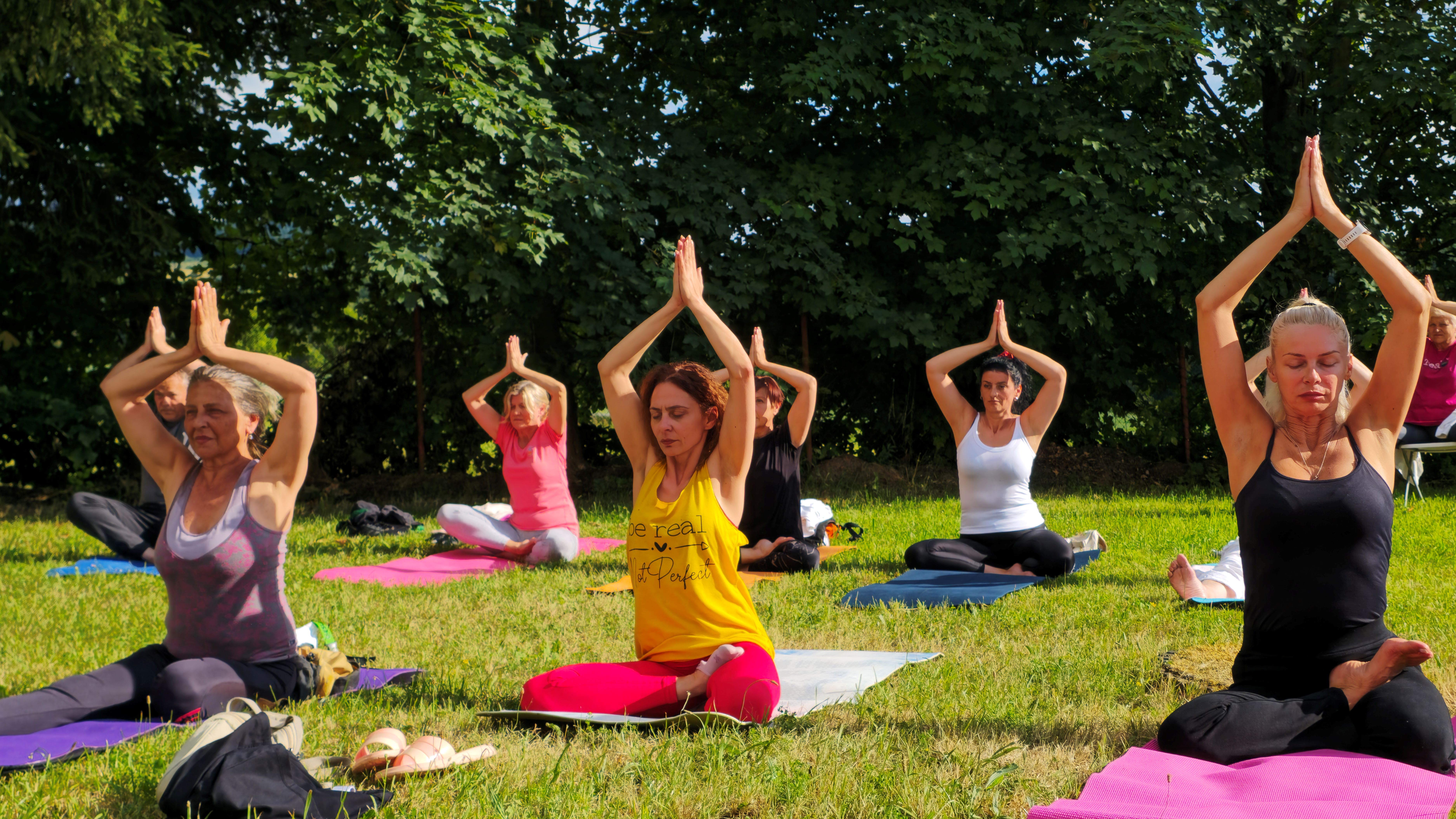asana practice at the European House of Yoga Light 