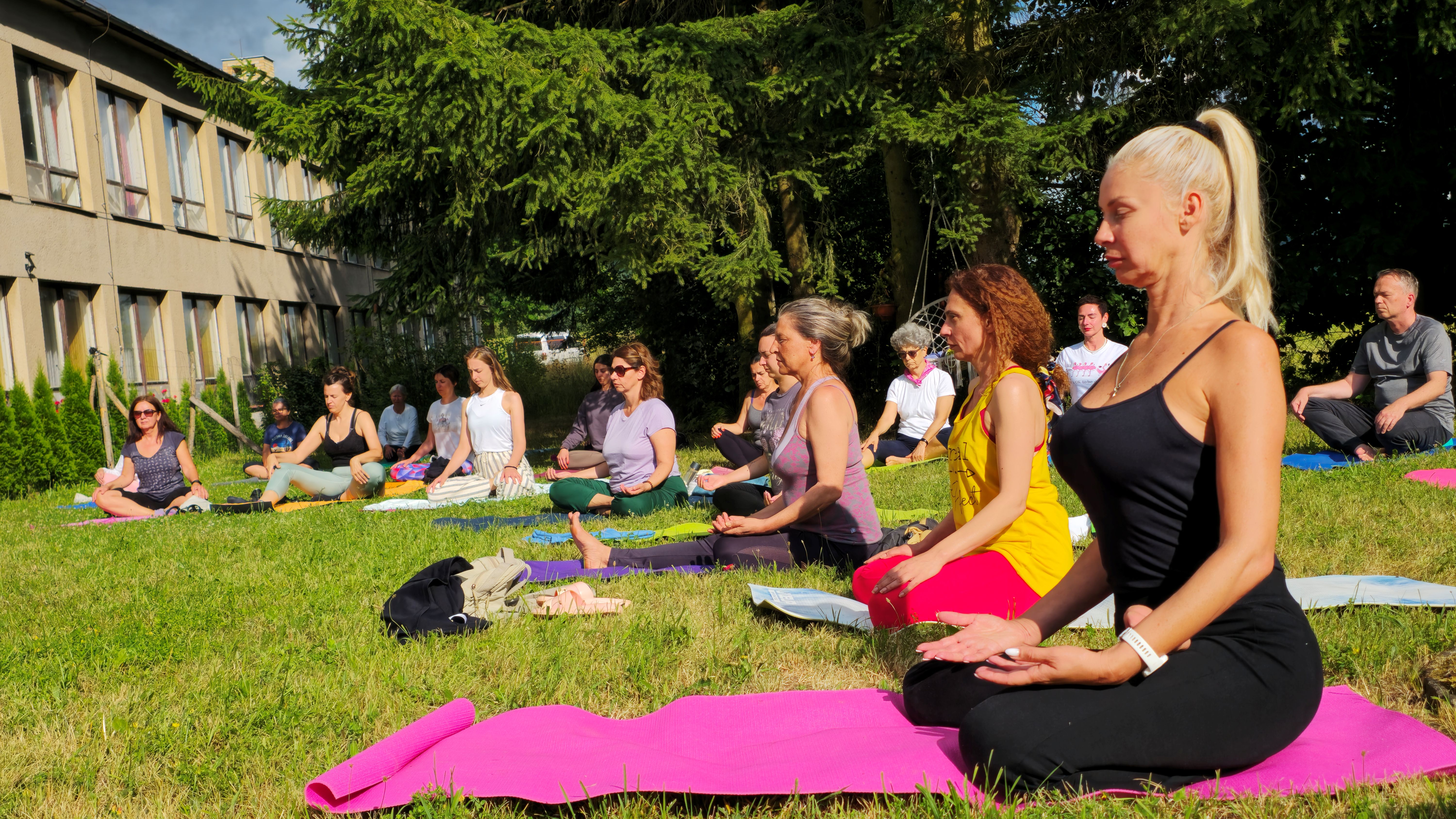 asana practice at the European House of Yoga Light 
