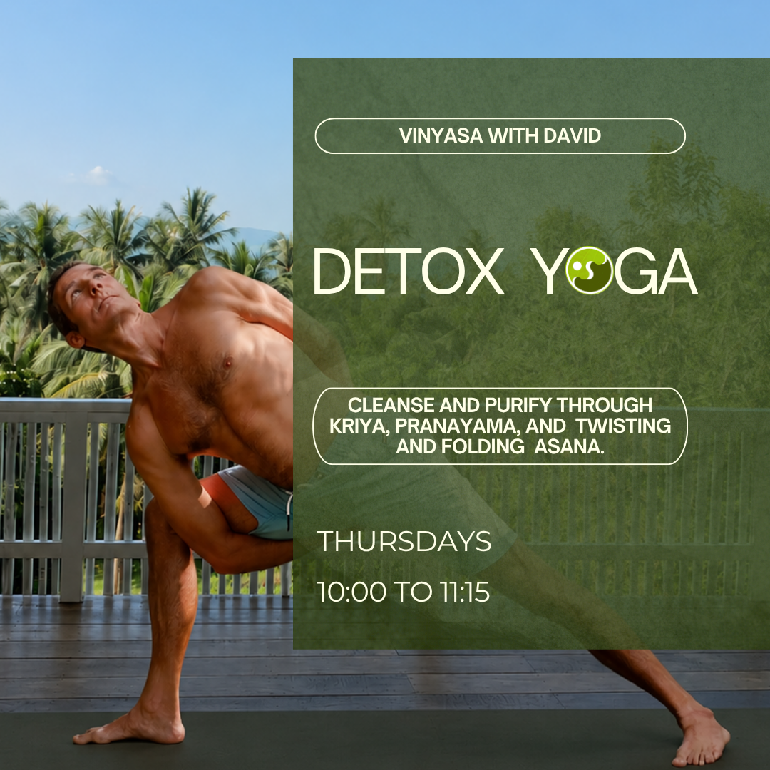 Detox Vinyasa Yoga