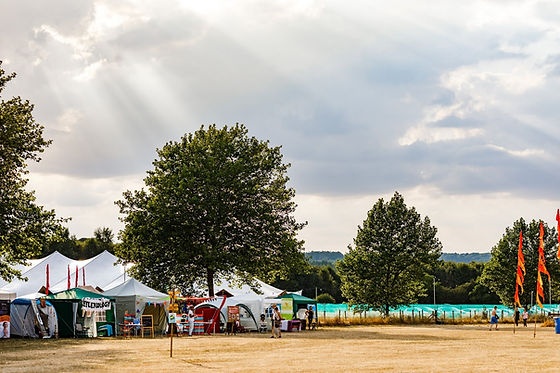 World Yoga Festival 2026, photo 1