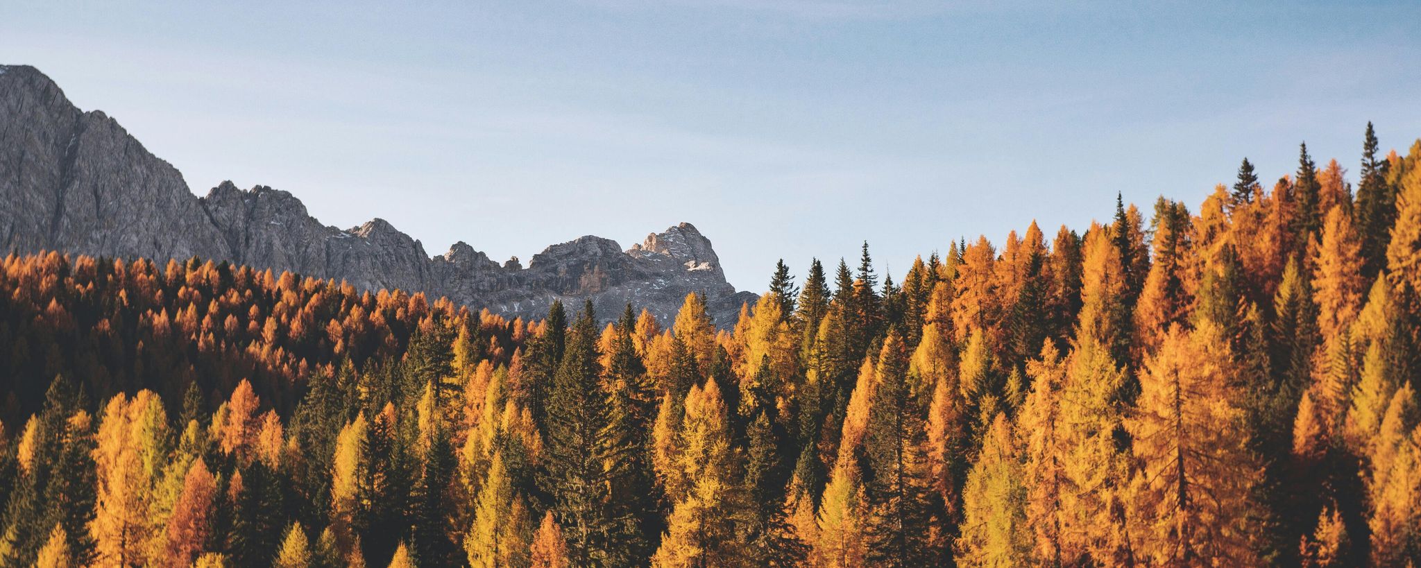 Herbst Retreat