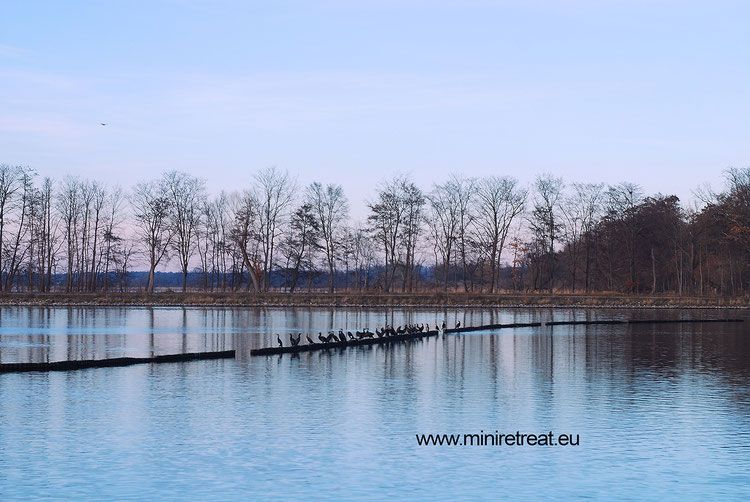 Fr 16.10.-So 18.10. 2026 Miniretreat "Atmen"