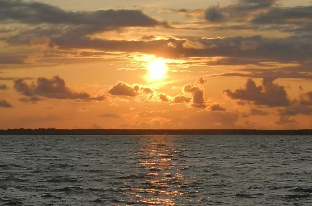 Event image for Meditation & Pranayama
