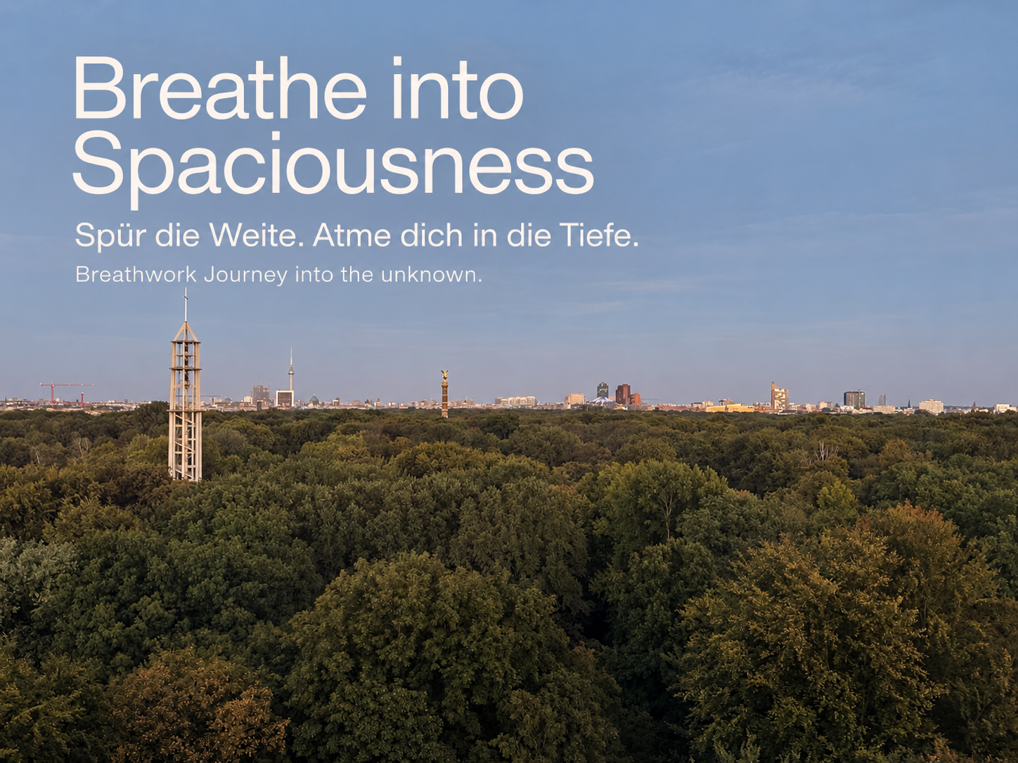Ein weiter Blick über den gesamten Tiergarten auf die Berliner Skyline