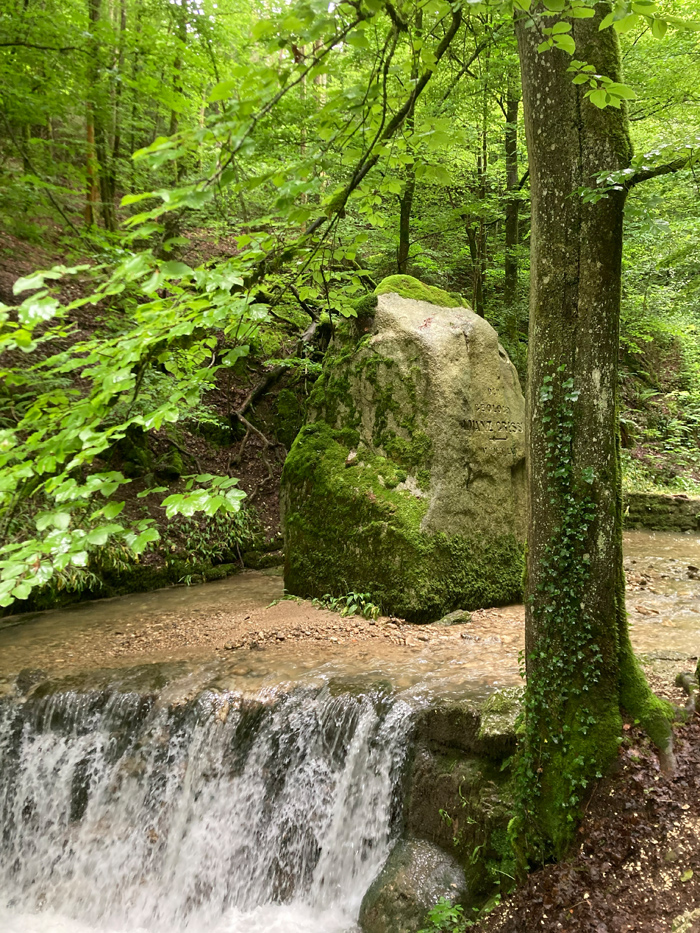NATUR BEWUSST ERLEBEN: Waldbaden & Kraftorte, photo 2