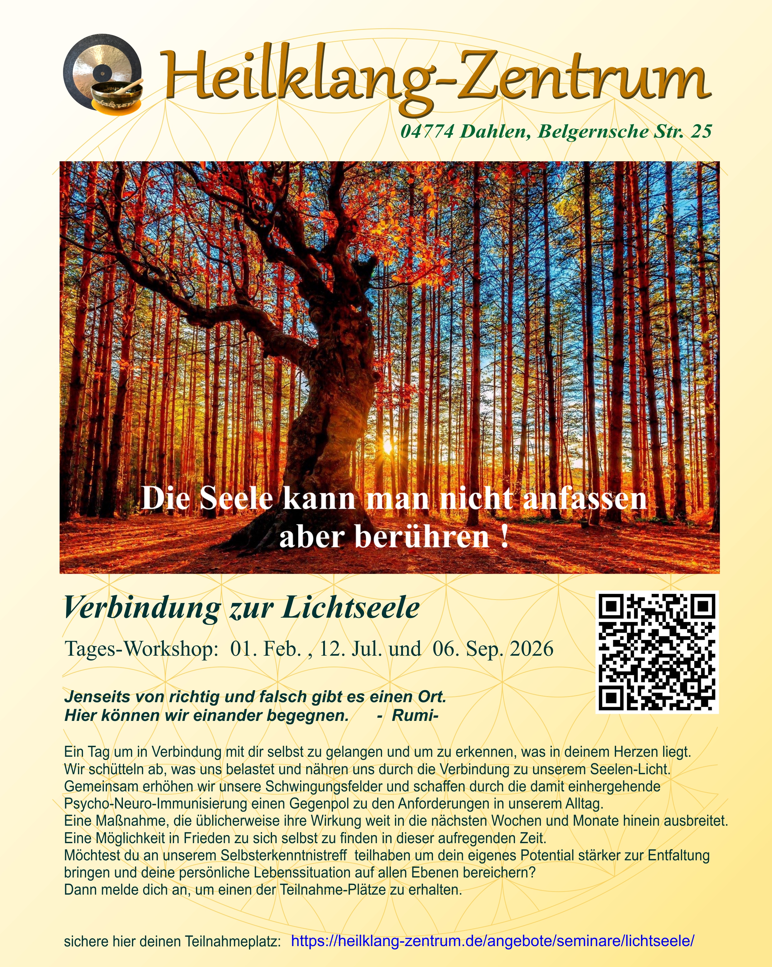 Tagesworkshop:  Verbindung zur Lichtseele