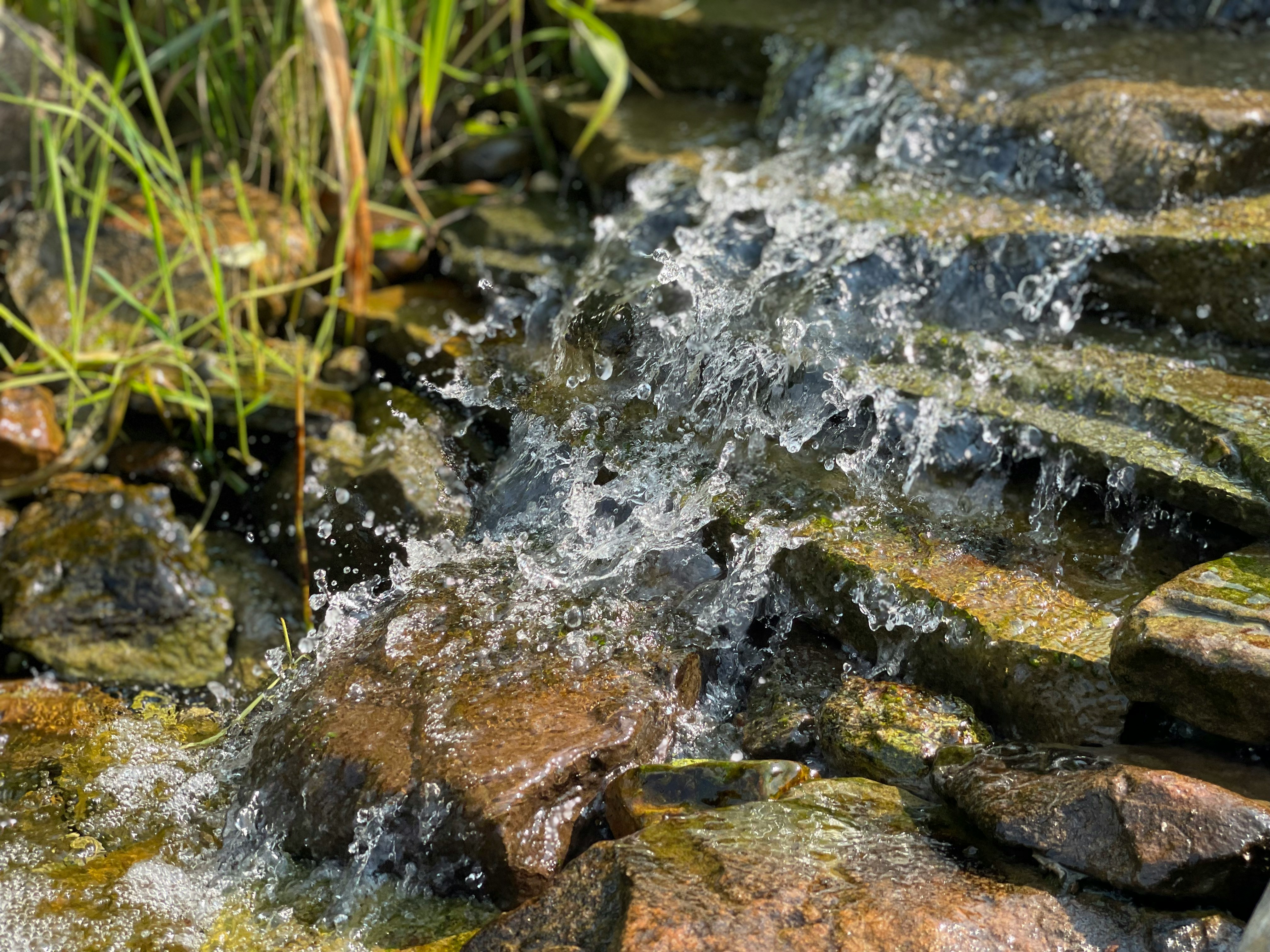 NATUR BEWUSST ERLEBEN: Waldbaden & Kraftorte, photo 5