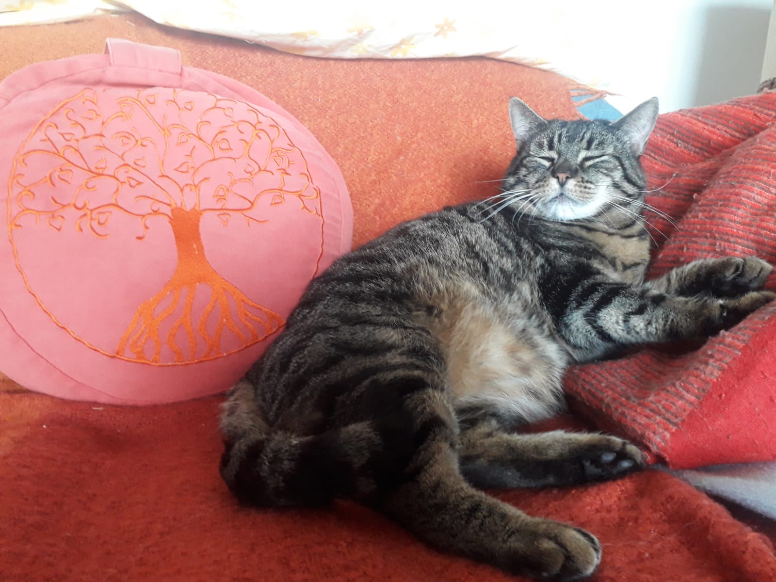 Yoga: Tanz der Göttin