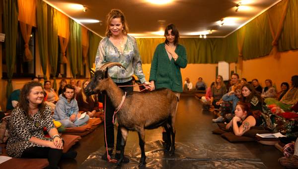 THE MIRACLE OF COMMUNICATION WITH ANIMALS. LEVEL 1