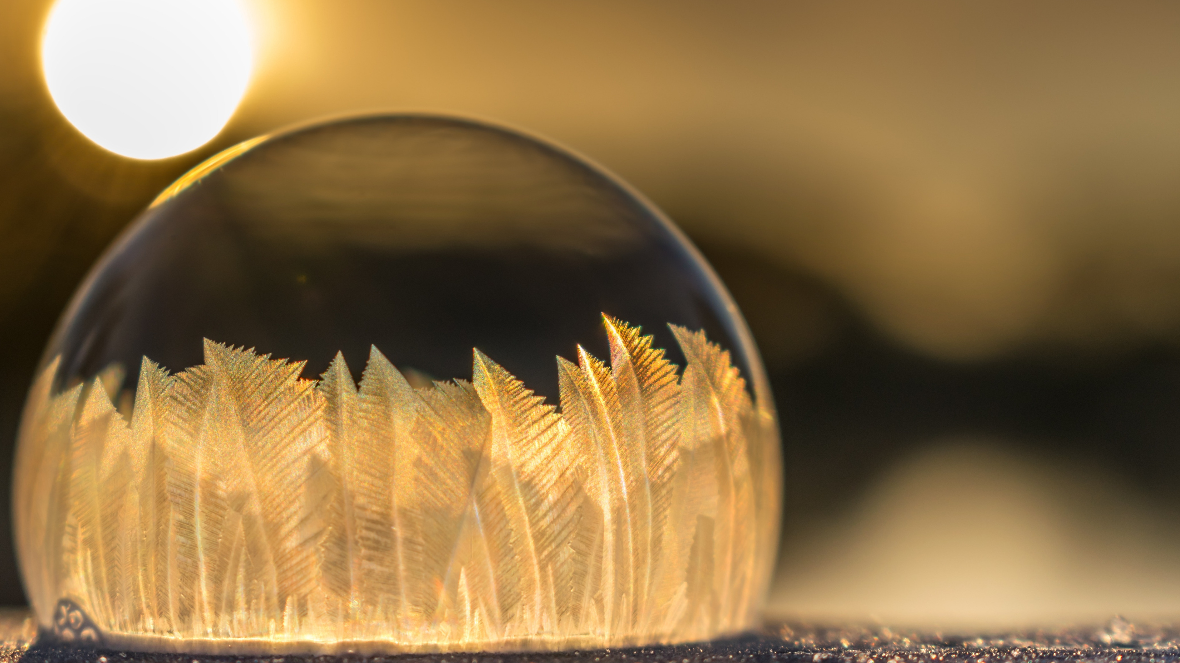 Retreat in Stille: Intention setzen & Ausrichtung finden [4 Tage bei Berlin]