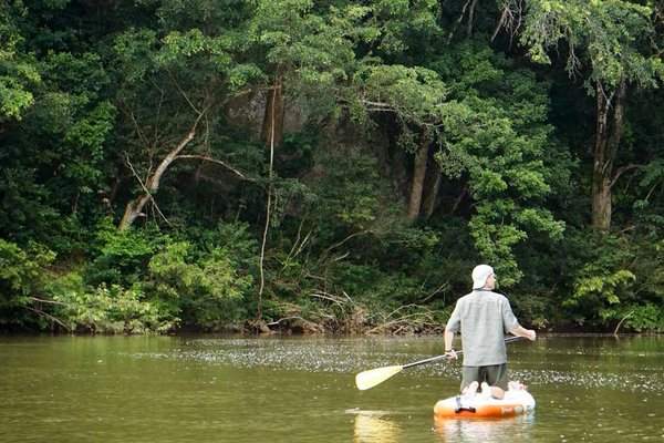 Cayo jungle in Belize