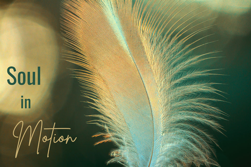 Soul In Motion