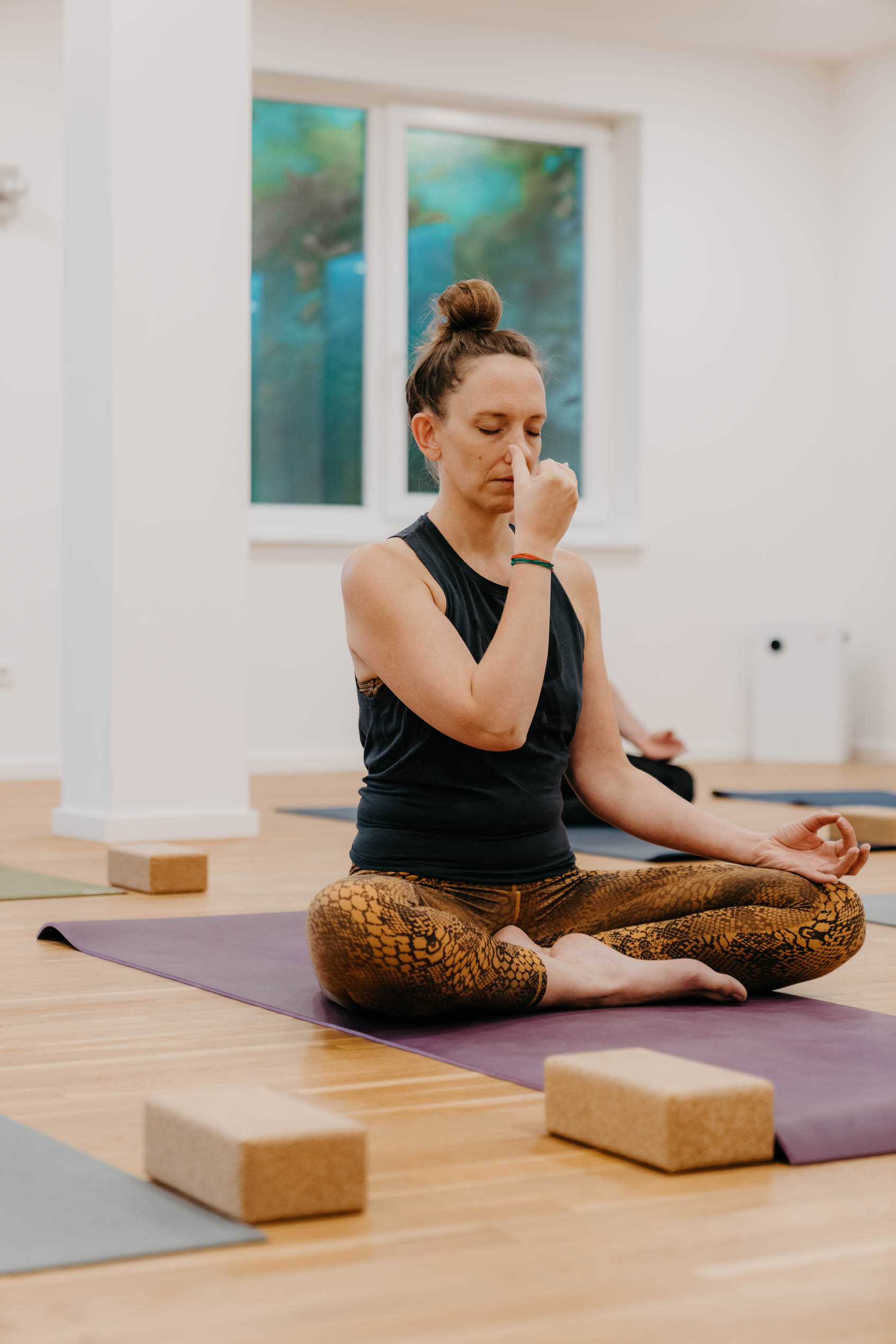 Pranayama - Atem, Energie & Gesundheit