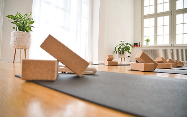 Vinyasa Yoga Level 1–2