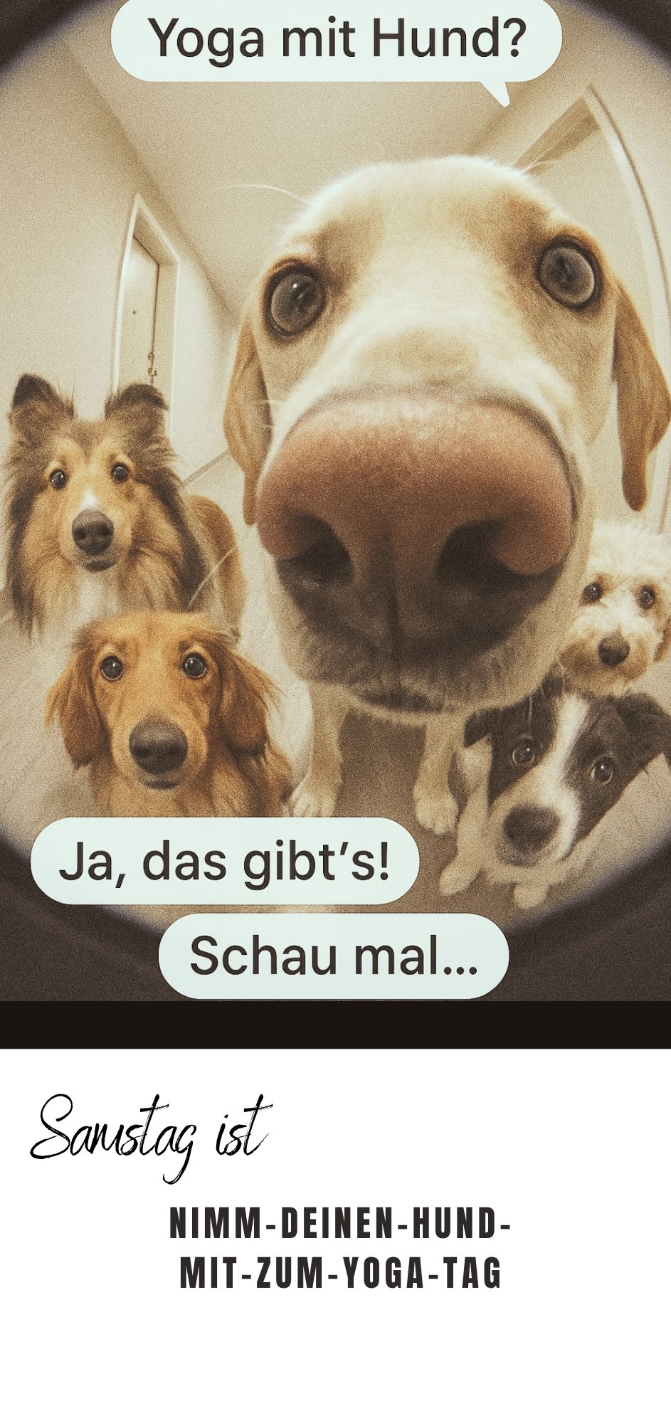 Yoga mit Hund