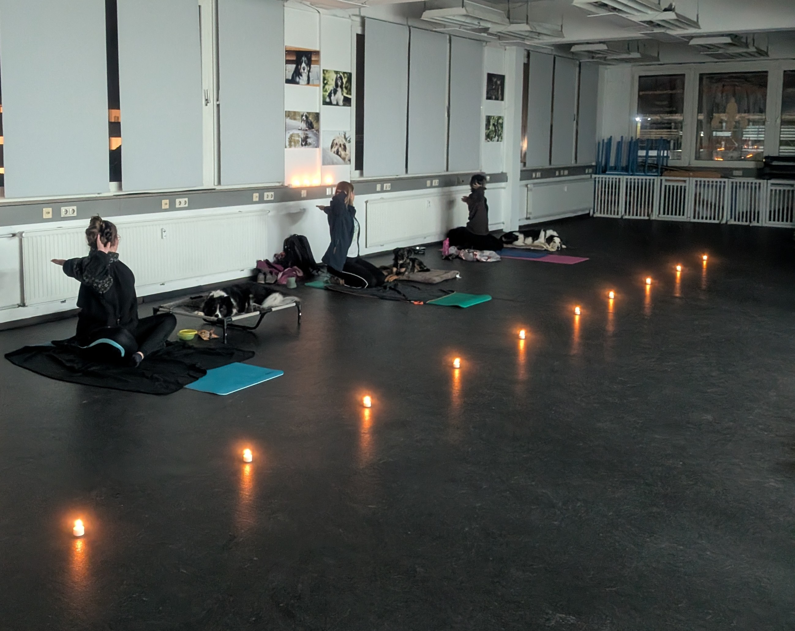 Yoga mit Hund, photo 4