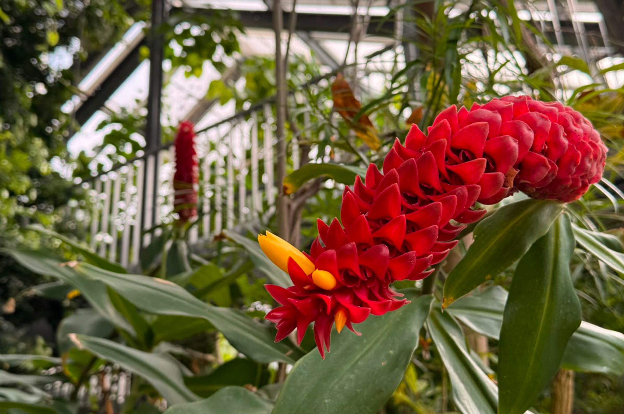 Yoga im Botanischen Garten