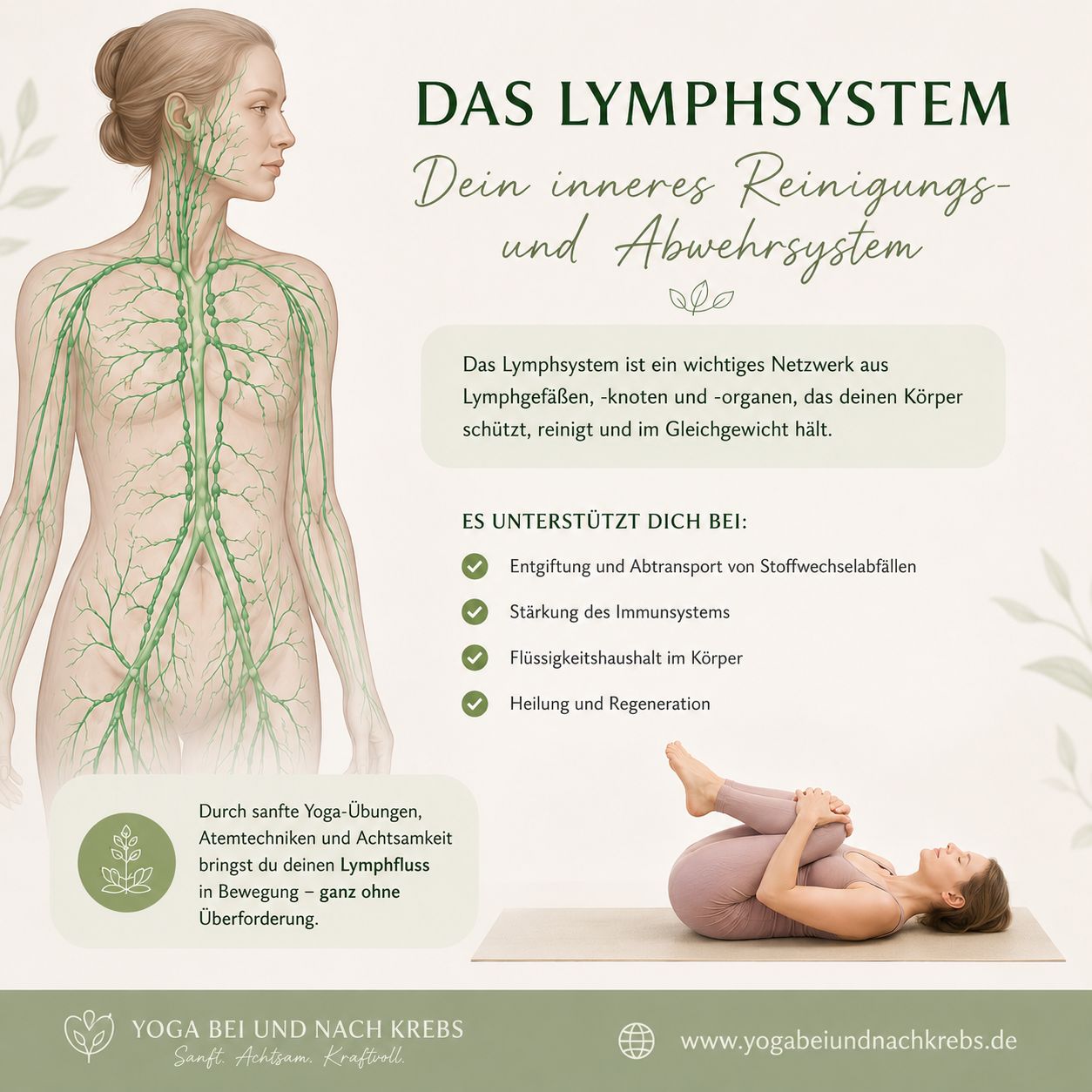 Einzeltermin: LYMPHE Workshop-Reihe: Yoga bei und nach Krebs August Stuttgart