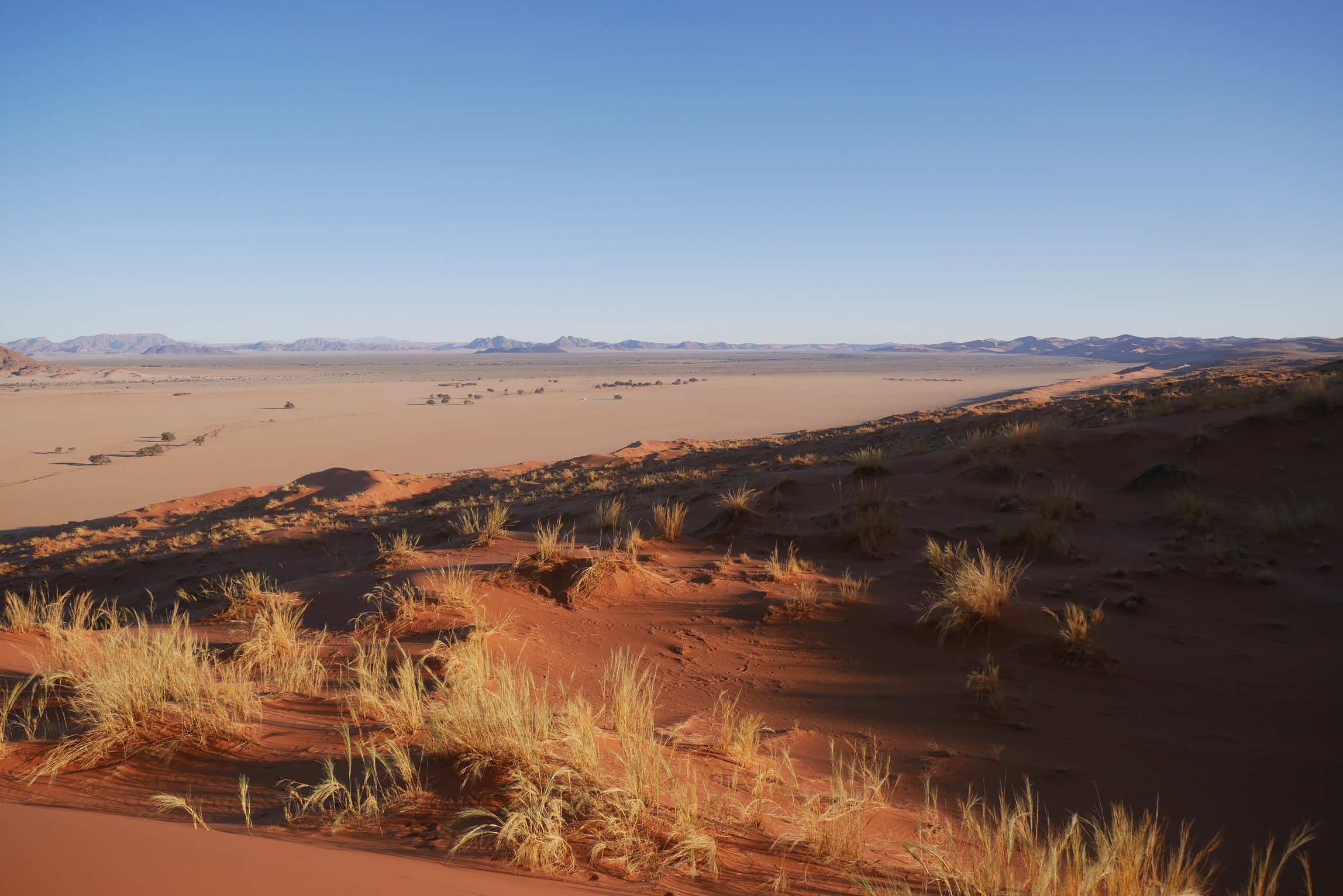 EINFACH-MANN-SEIN – 11 Tage Wüstenerfahrung in Namibia
