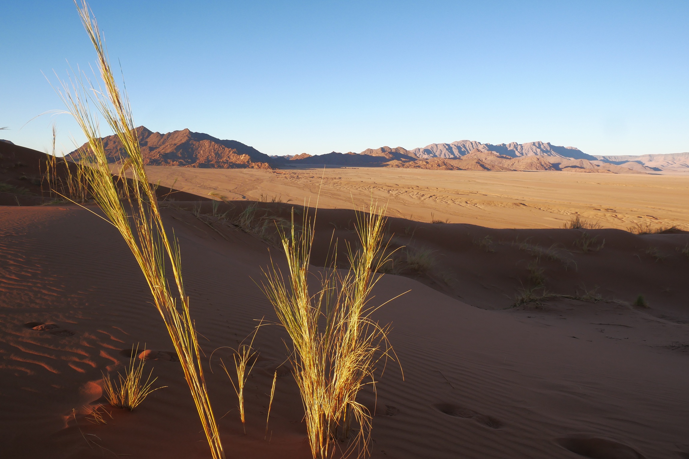 EINFACH-MANN-SEIN – 11 Tage Wüstenerfahrung in Namibia, photo 1