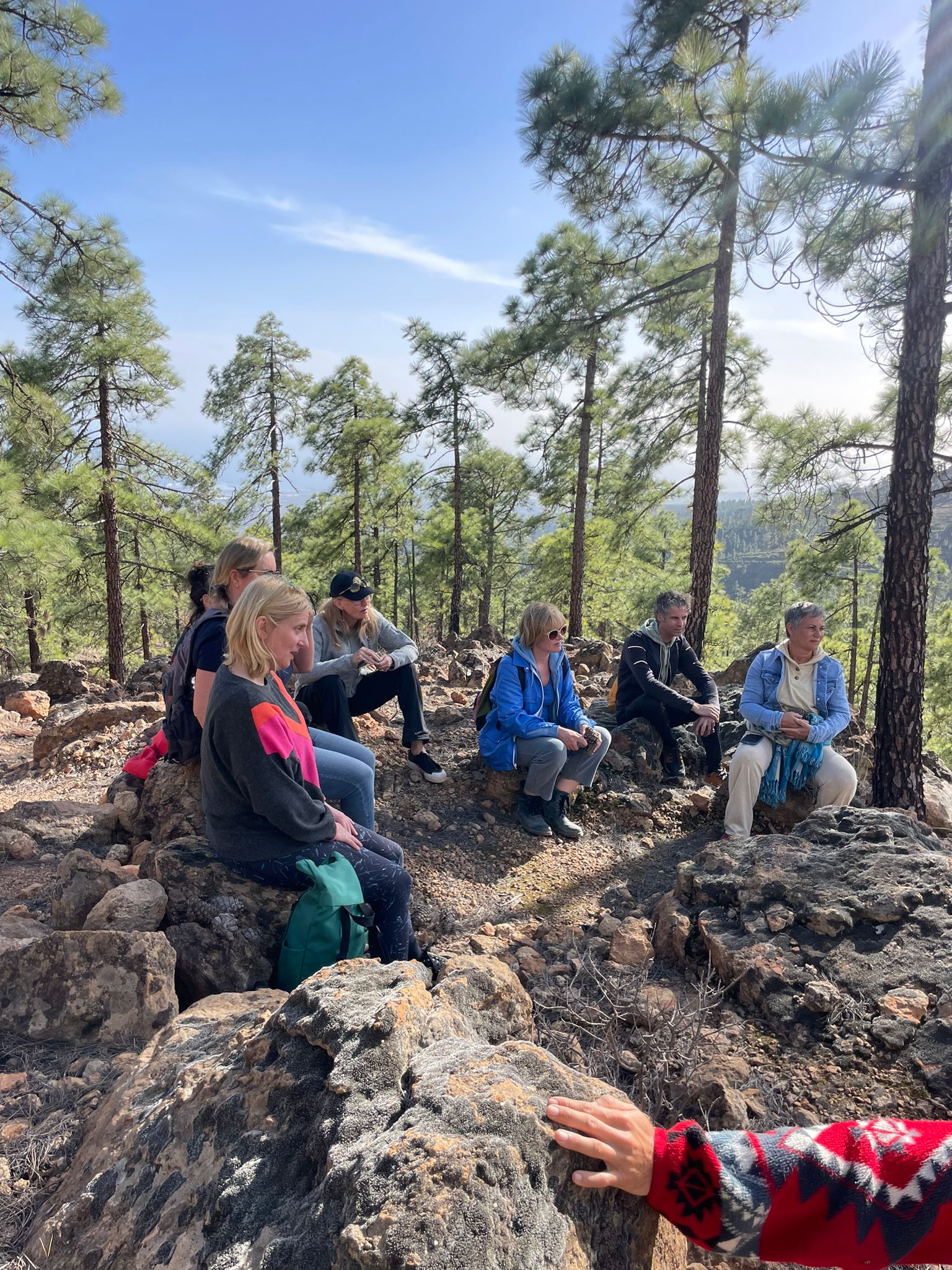 Forest Hike 