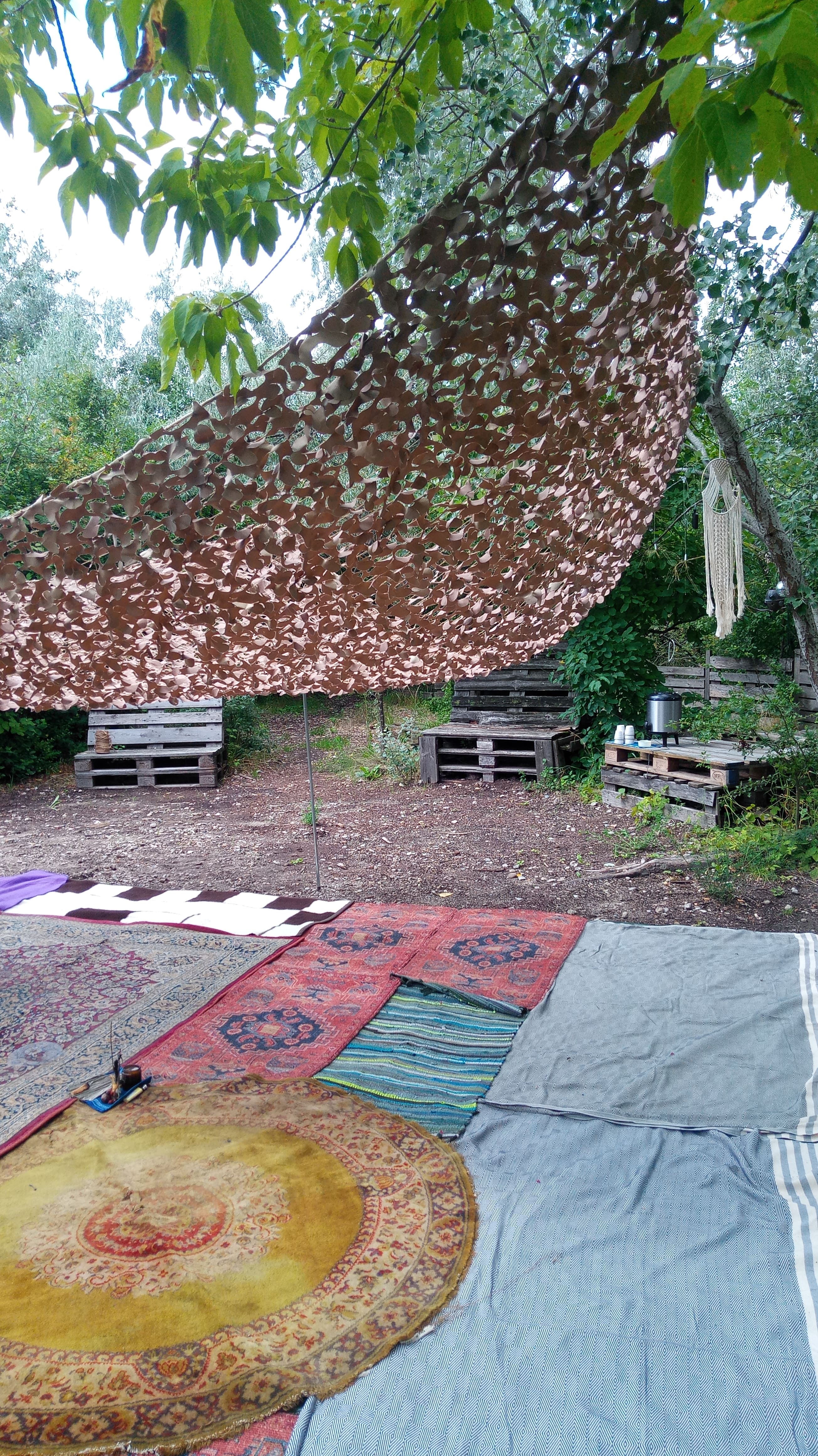Wild Breathwork, photo 4