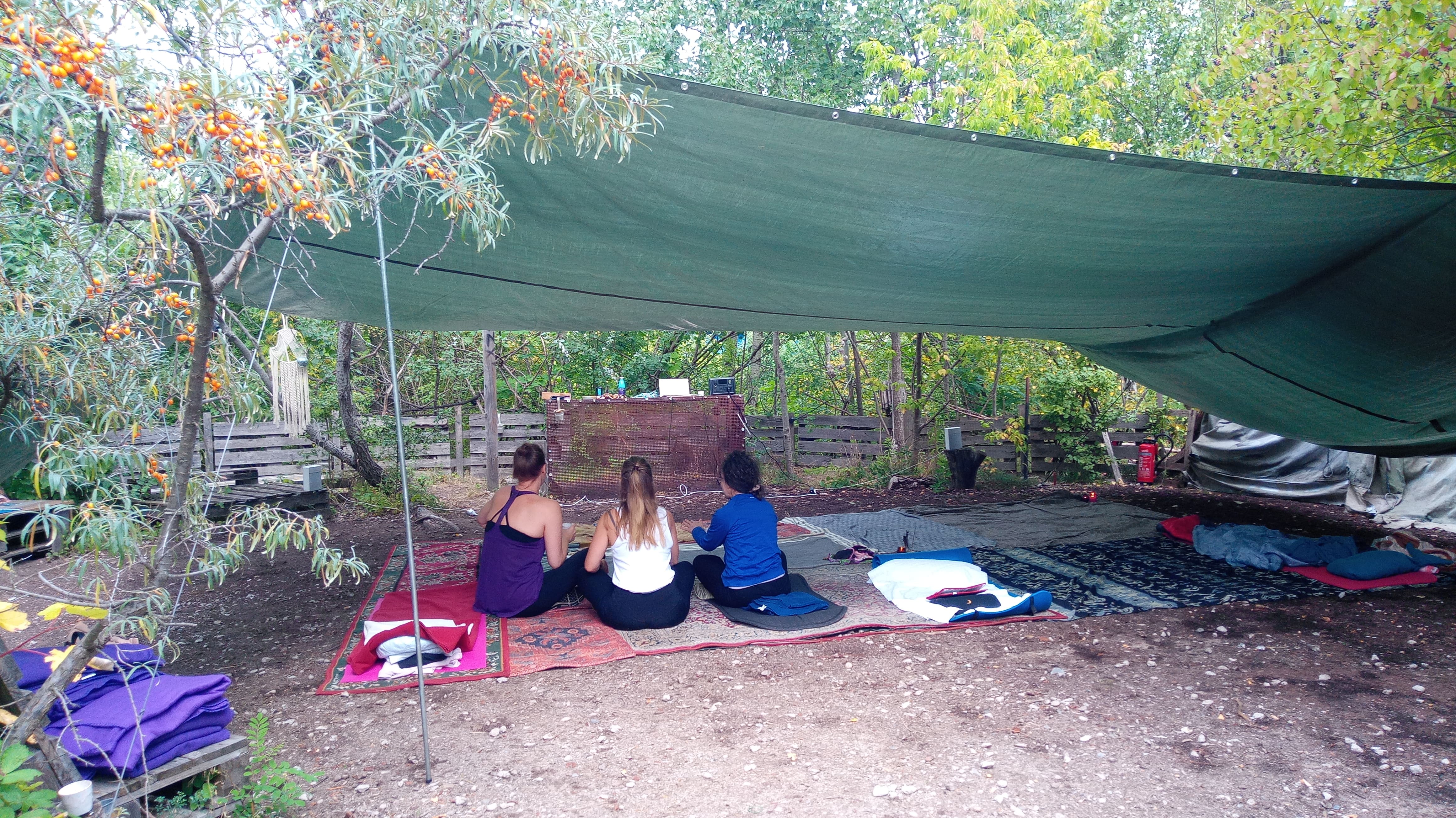 Wild Breathwork, photo 5